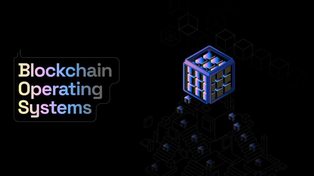 Developer building a distributed ledger application