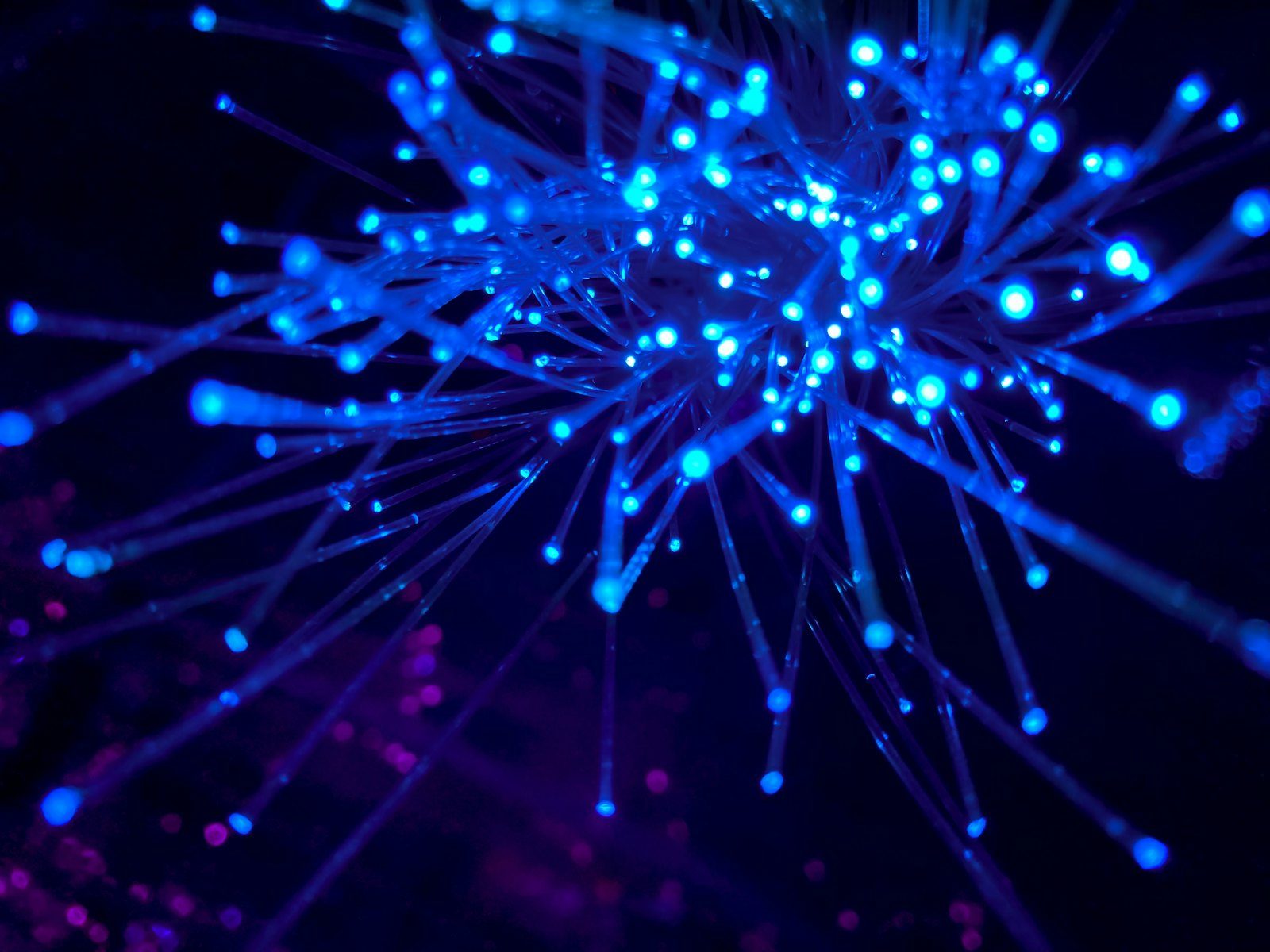 Service provider network infrastructure and fibre connectivity